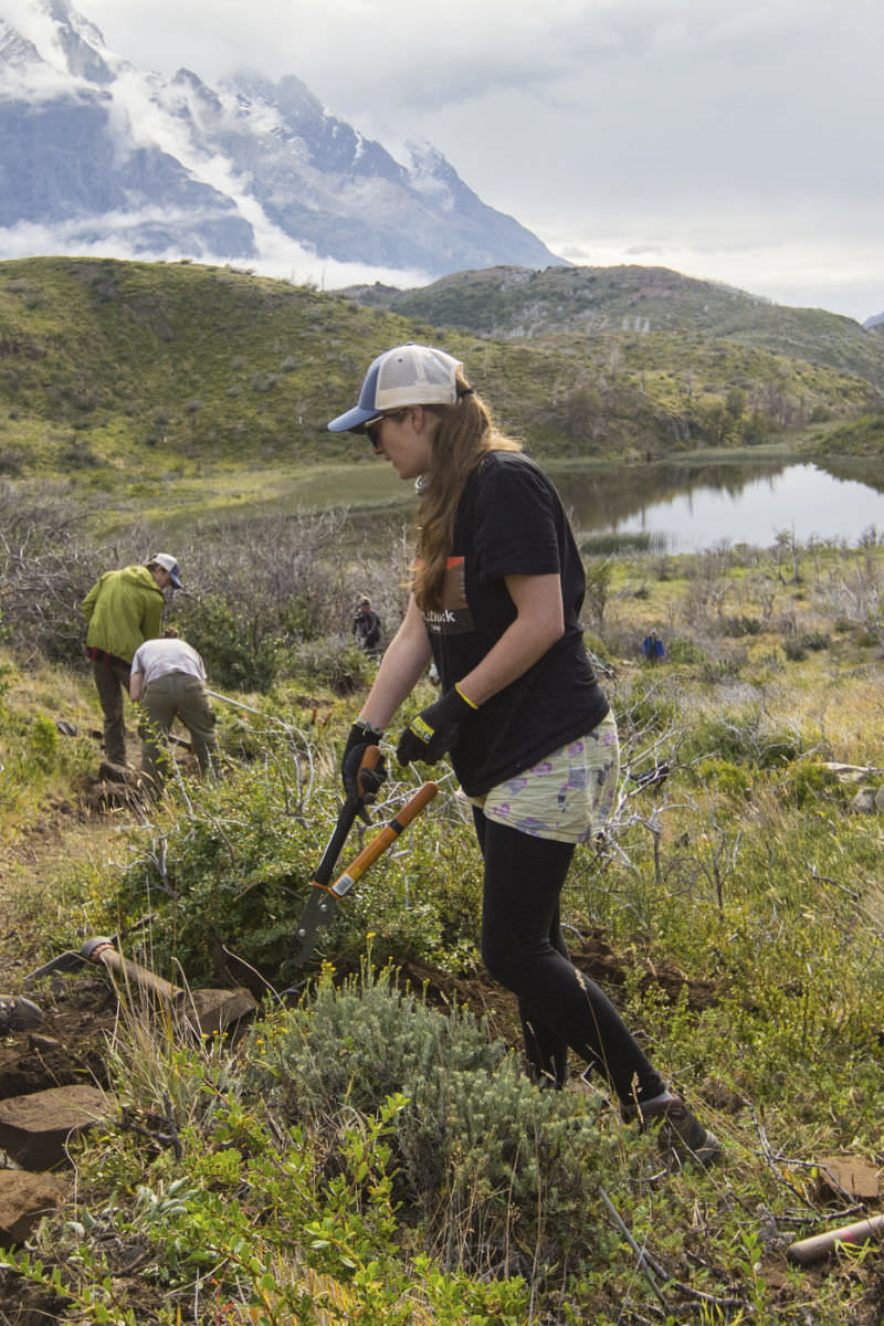 Torres del Paine Legacy Fund