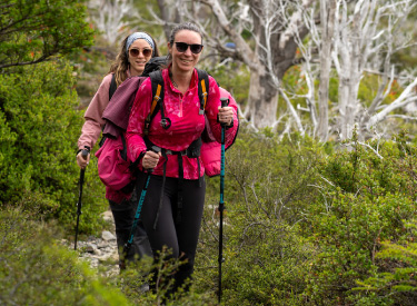 W Trek: primer programa turístico en Chile en certificar su huella de carbono