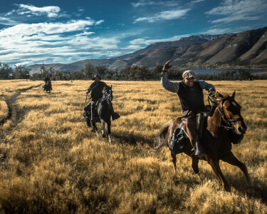 Horseback riding