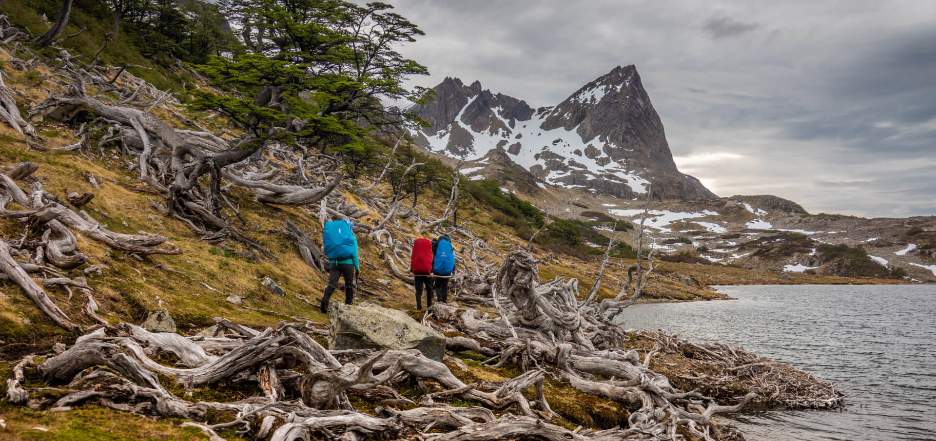 DIENTES DE NAVARINO TREK