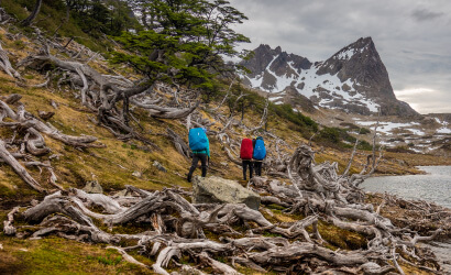 DIENTES DE NAVARINO TREK