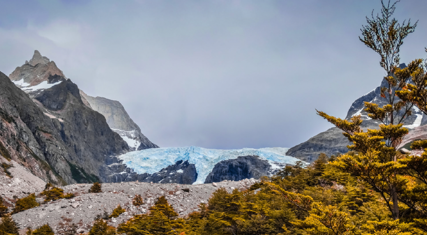 Día 1 -Bus Natales – Laguna Amarga + Shuttle to Central Sector – Las Torres / Base Torres /Camp Torres Día 1 -Bus Natales – Laguna Amarga + Shuttle to Central Sector – Las Torres / Base Torres /Camp Torres