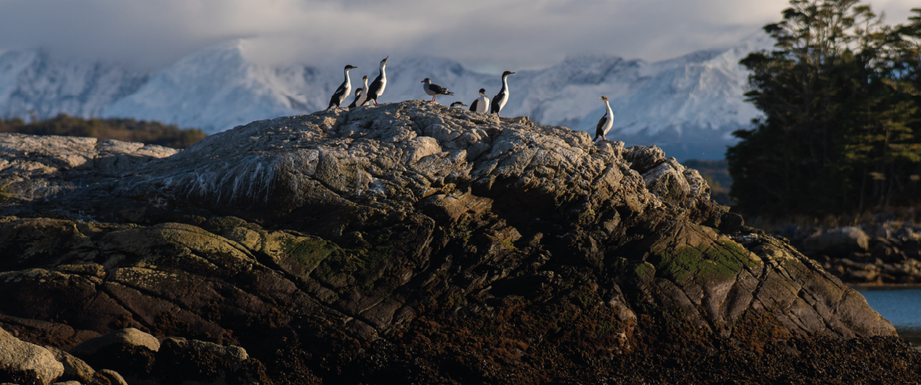 Tierra de Fuego