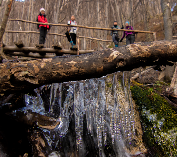 A trip that surpassed our expectations A trip that surpassed our expectations