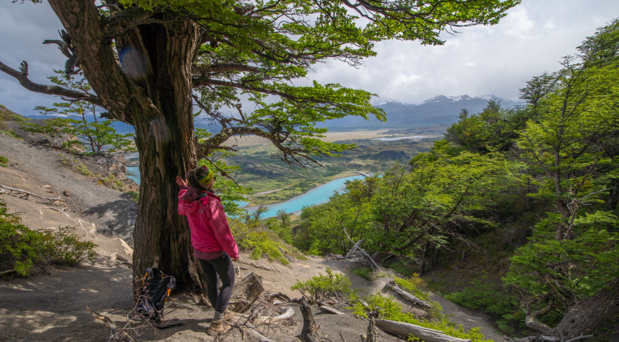 The most famous trek in Torres del Paine The most famous trek in Torres del Paine