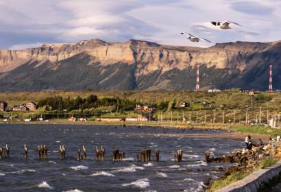 Puerto Natales: La Capital Gastronómica de Chile y sus Mejores Restaurantes Puerto Natales: La Capital Gastronómica de Chile y sus Mejores Restaurantes