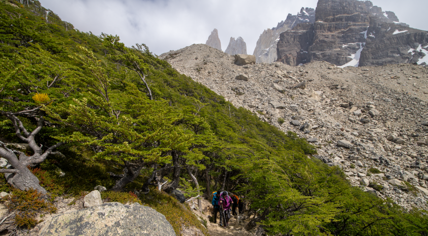 Experience in Torres del Paine Experience in Torres del Paine