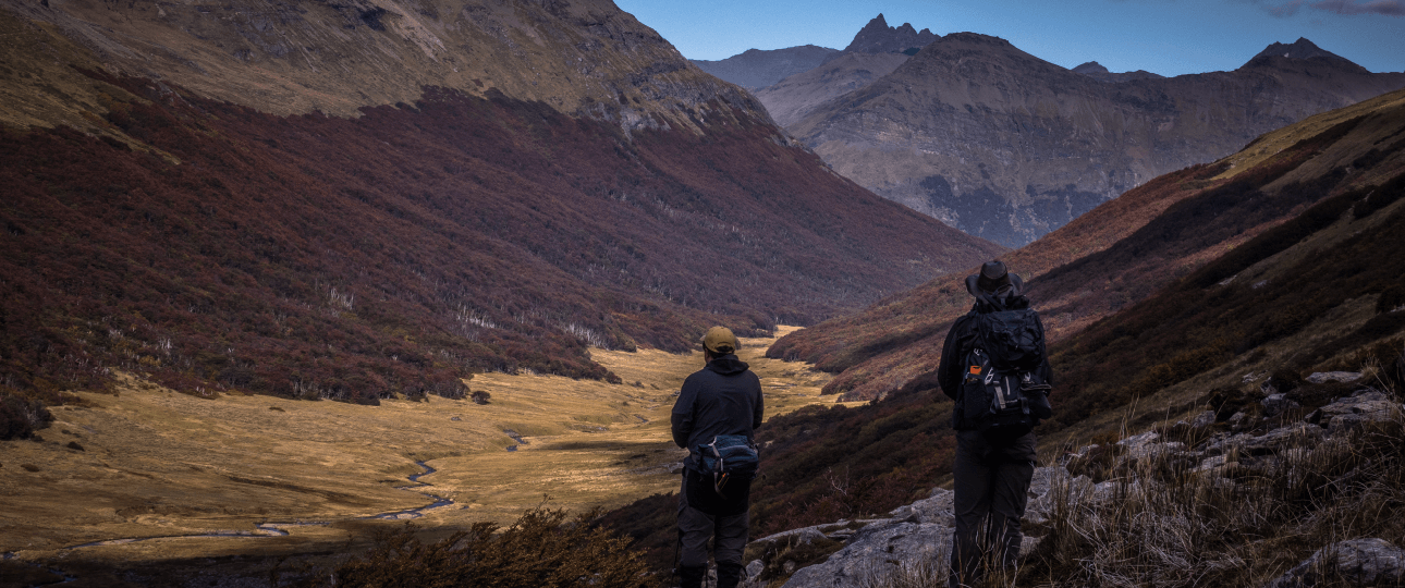 Una experiencia única junto a la fauna nativa