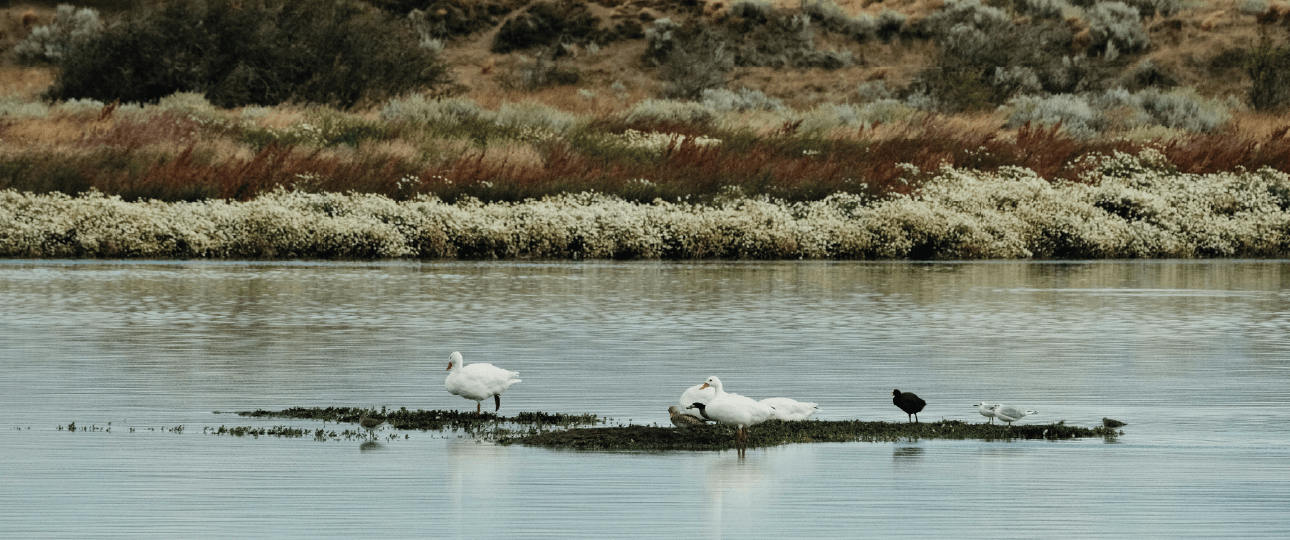 El Calafate