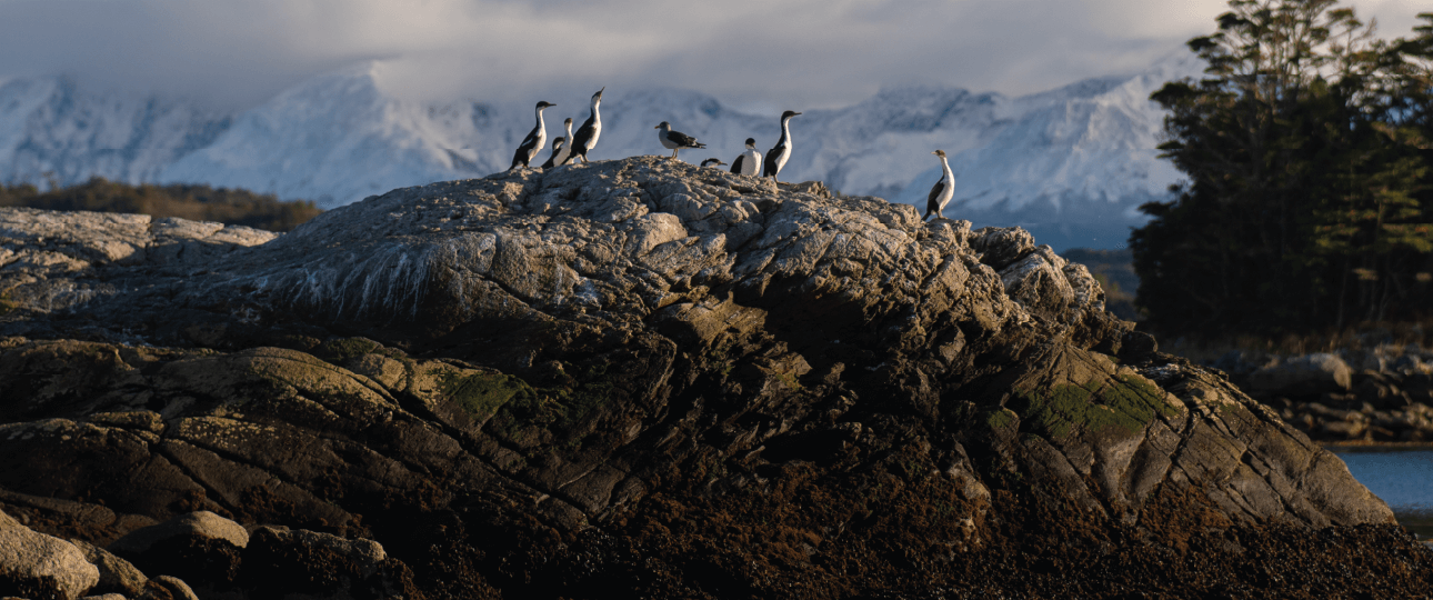 Tierra de Fuego