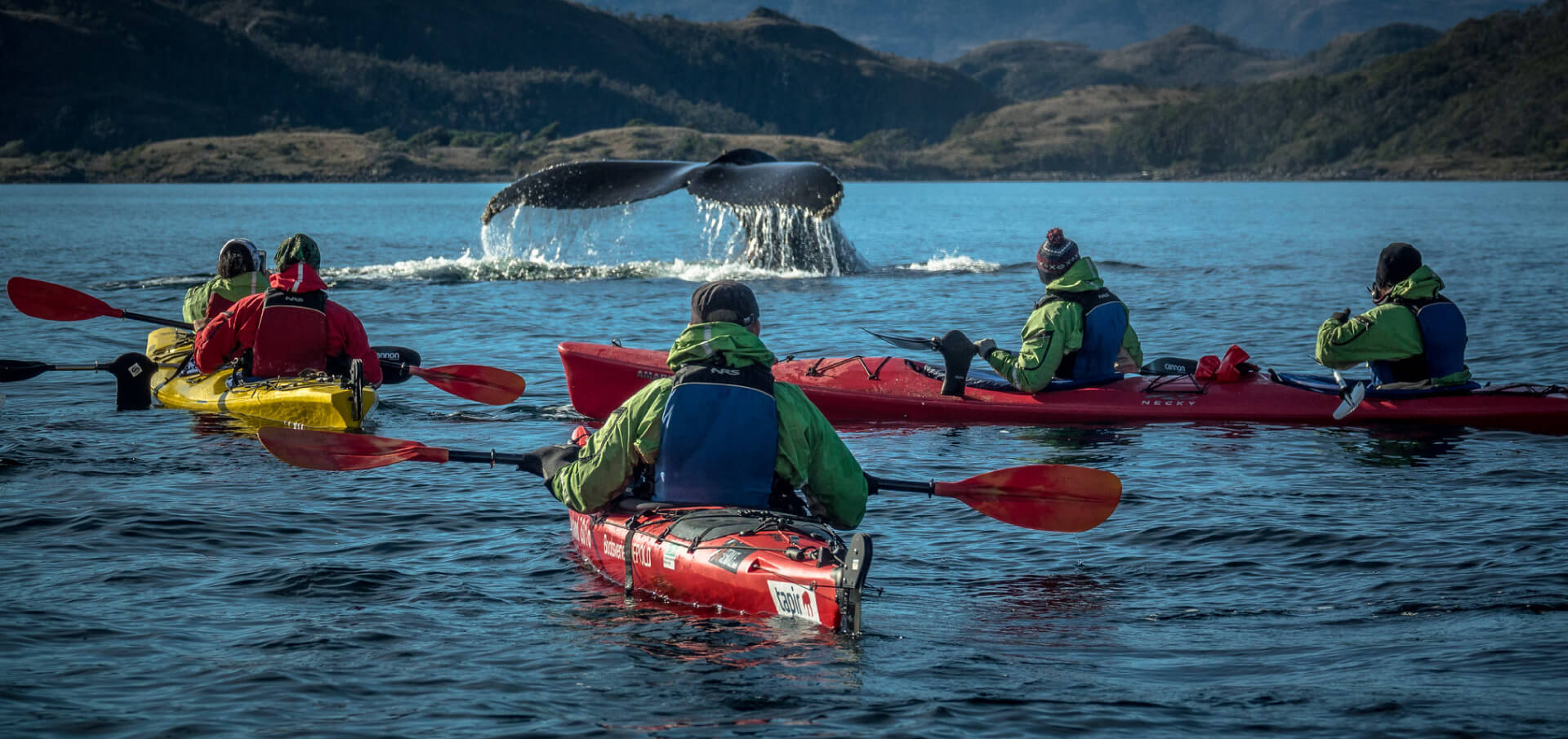 KAYAKING IN CAPE FROWARD