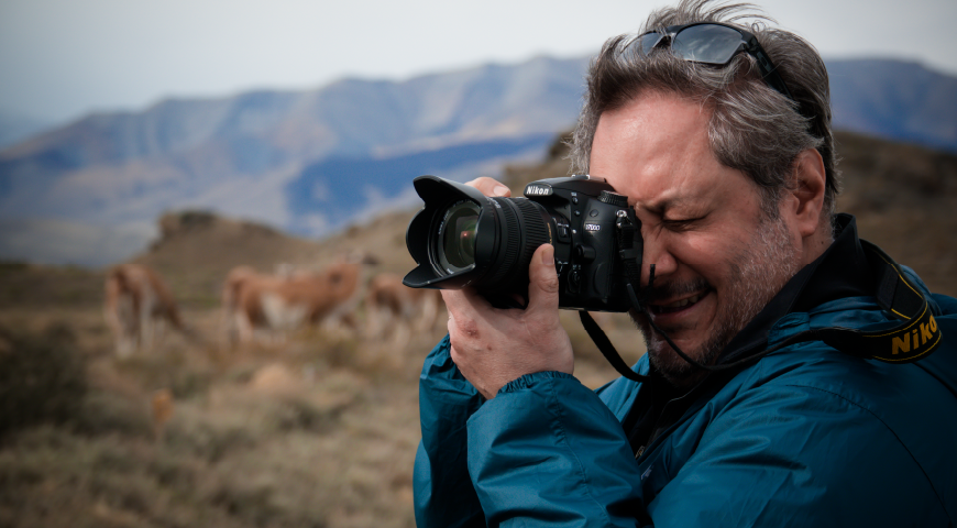 Día 1 - Excursión de día completo de avistamiento de pumas y safari fotográfico Día 1 - Excursión de día completo de avistamiento de pumas y safari fotográfico