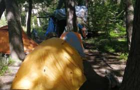 Camping Japonés
