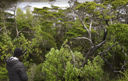 Campamento ecológico Carlos III