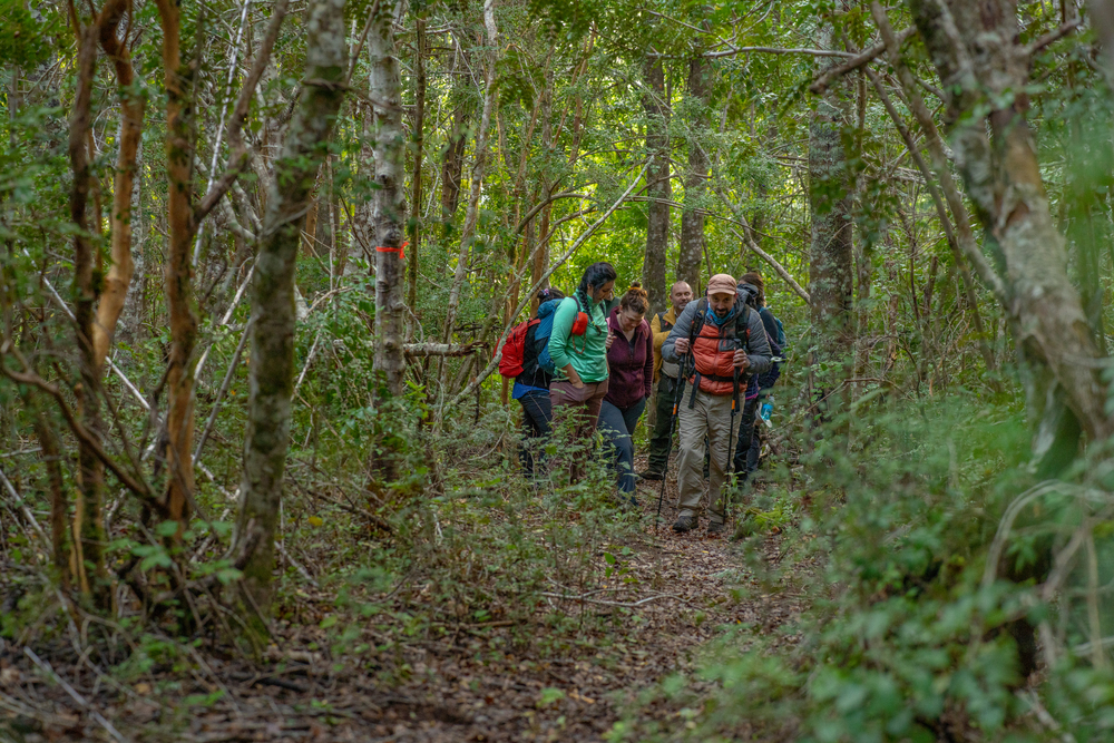 Día 1 - Sobrevolando los Parques Nacionales: Bienvenidos a Rincón Bonito