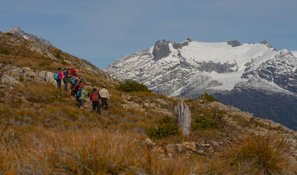 Día 2 - Trekking ida y vuelta al Valle de Ventisquero