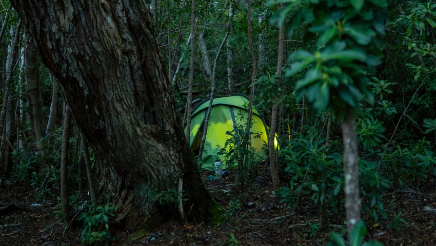 Camping en la naturaleza en Cabo Froward