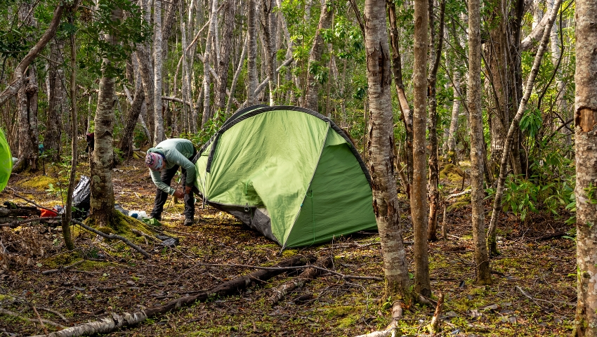 Camping en la naturaleza en Cabo Froward