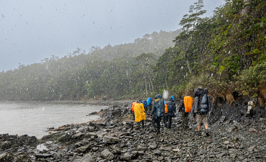 Day 2 - Trail to San Nicolás river through forests and peat bogs