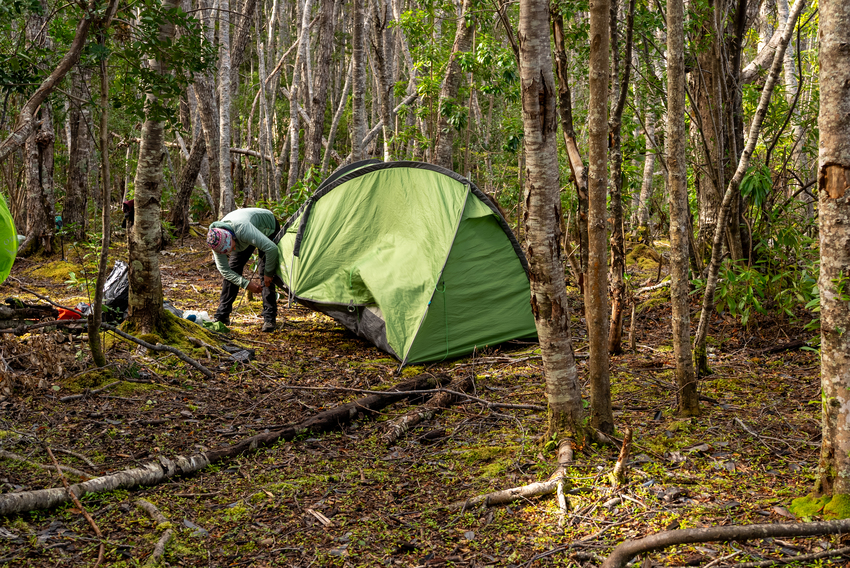 Day 4 - Journey to the Cross of the Seas