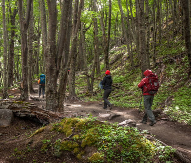 The preparation from Chile Nativo was excellent