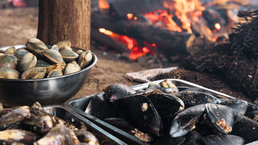 Day 3 - Chiloé Island, penguins & traditional flavors